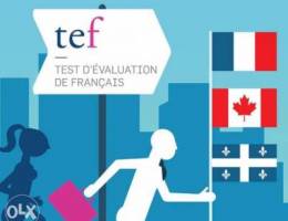 French Teacher in Oman for TEF Canada