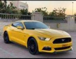 Ford Mustang V8 Manual Transmission 2015 M...