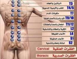 أخصائي حجامة وطب تكاملي