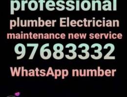 Professional plumber & Electrician mainten...