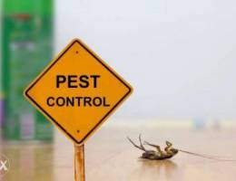 Pest Control خدمات مكافحة الحشرات