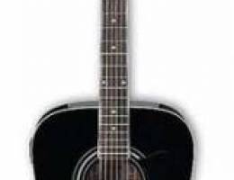 Ibanez Acoustic Guitar