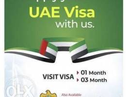 UAE dubai Tourist visa available