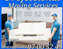 House shifting furniture fixing