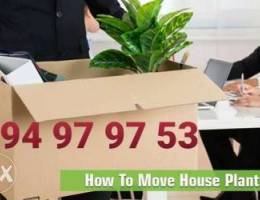 House shifting