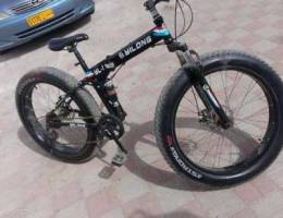 Yilong gear bike