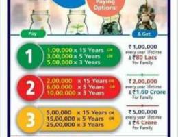 Financial Advisor LIC of India