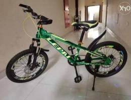 LEPAI Green cycle