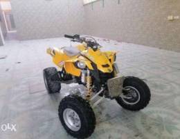 Can am ds 450