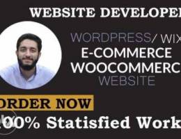 we will build a wordpress ecommerce store ...