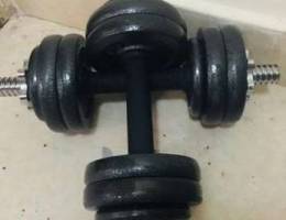 Dumbell - Gym Equipment