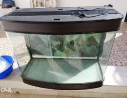 Fish aquarium for sale 35 ro