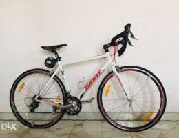 Giant SCR Road Bike