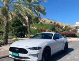 موستنج ٢٠١٩ كلين تايتل ،،، Mustang 2019 Cl...