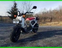 2020 Honda Ruckus