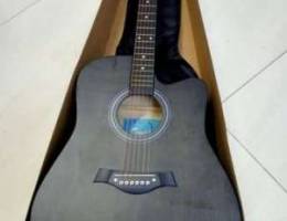 Guitar Tansen