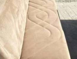 Sofa and carpet cleaning with shampooing m...