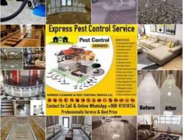 Express Cleaning Services House/Apartment