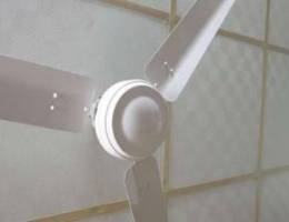 Ceiling fan ( brand: crompton)