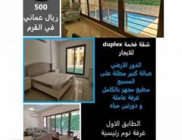 Duplexer Flat for rent