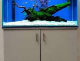 Planted Aquarium, Fish Tank with Canister ...