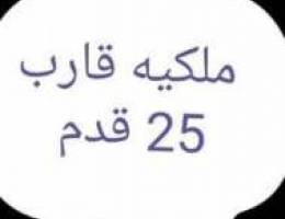 ملكيه قارب 25 قدم