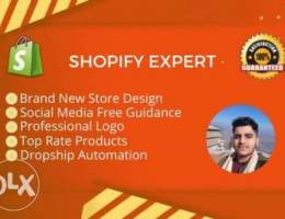 we design shopify dropshipping website, sh...