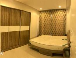 Furnished 1bkh penthouse apartment for ren...