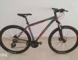 Silverback 29" bicycle in very good condit...