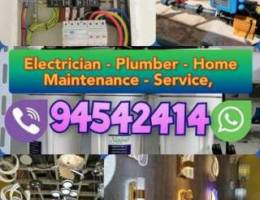 Plumber Electrician Home maintenance Servi...