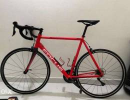 Focus road racing bike