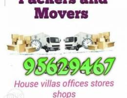 Packing and moving service