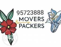 Mover taransport sarvis house villa apartm...