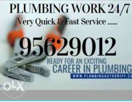 Best plumber for home plumbing minuteness ...