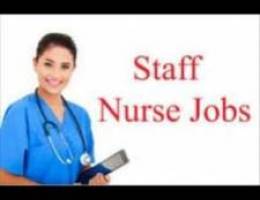 Vacancy for Staff nurse