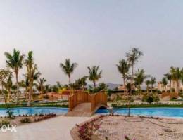 Dreams HAWANA Salalah - Forest Island- Gro...