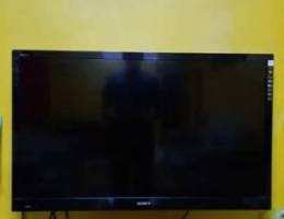 Sony Bravia (42' inches)