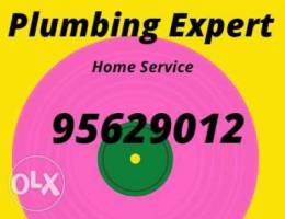 Plumbing home delivery service available i...