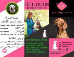 Dogs spa and training