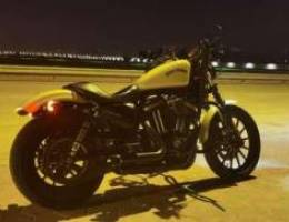 Harley davidson iron 883 model 2014