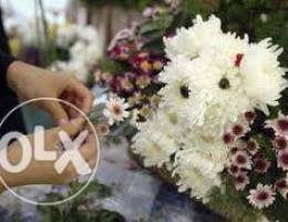 مطلوب عامل لمحل زهور hiring a Florist