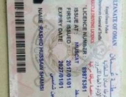 I Am Pakistani And Need Job For Driver