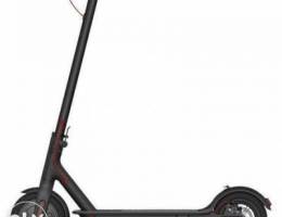 Thunderbird Electric Scooter