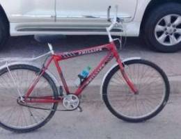 Adult cycle for sale in good condition