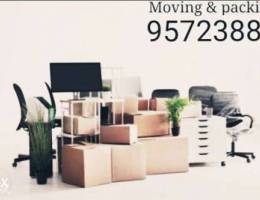 Shifting house villa apartments shifting g...