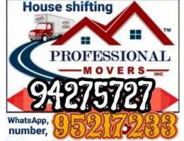 House shifting and painting