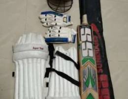 Cricket set