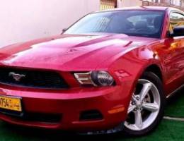 Mustang V6 12 (oman) very clean