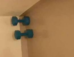 4KG Dumbbells