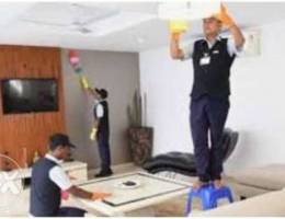 House and building apartments cleaning ser...